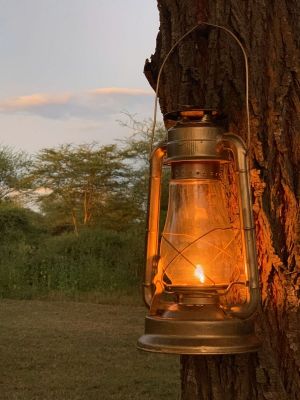 311 - OUT OF AFRICA - Tanzanie - août 2019