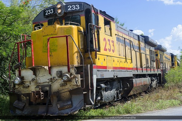 115 - 233 - MEXIQUE - août 2014