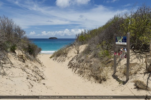 175-ST BARTH BLUE - FRANCE - St Barth - juillet 2016