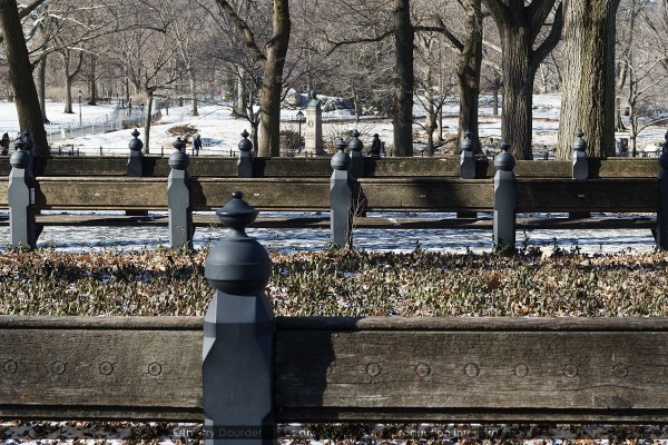 218 - CENTRAL PARK BANKS - USA - New-York - janvier 2018