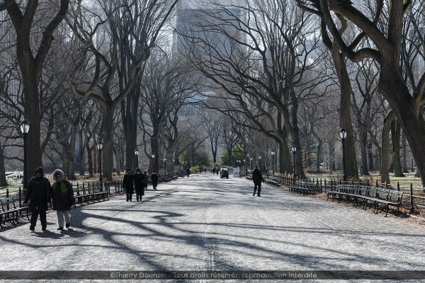 219 - CENTRAL PARK - USA - New-York - janvier 2018