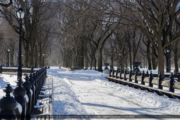 241 - CENTRAL PARL SNOWFALL - USA - New-York - janvier 2018