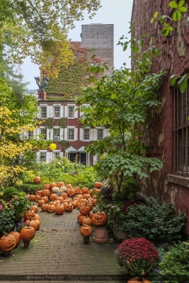440 - ALLOWEEN STRIPS - USA - New-York - octobre 2022