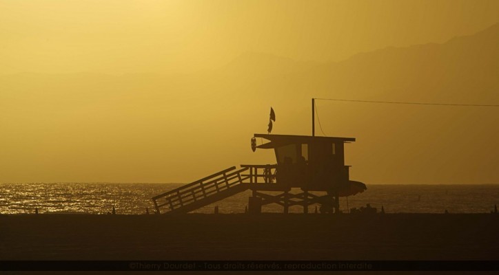 84 - LIFEGUARD - LOS ANGELES - Los Angeles - août 2012