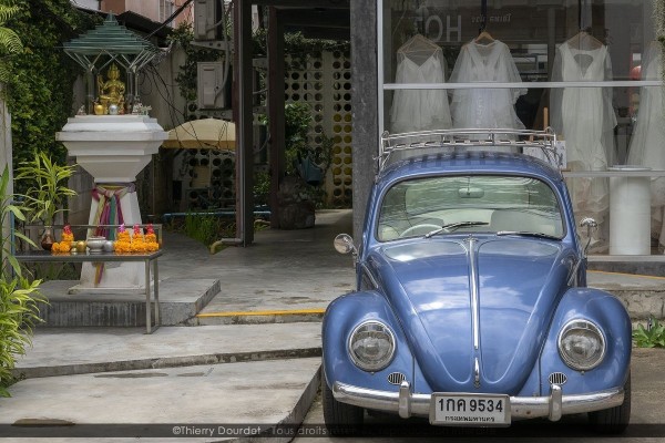 262 - COCCINELLE THAI - THAILANDE - Chang Mai - aout 18