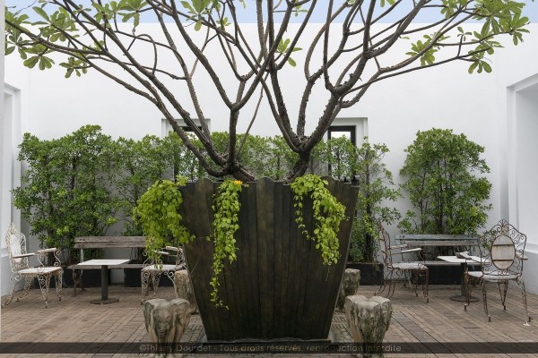 267 - TERRASSE OMBRAGEE - THAILANDE - Bangkok - aout 18