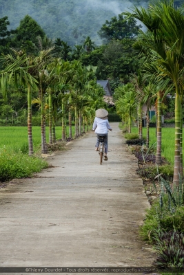 377 - UN AIR D'INDOCHINE - VIETNAM - Pu Luong - août 2022