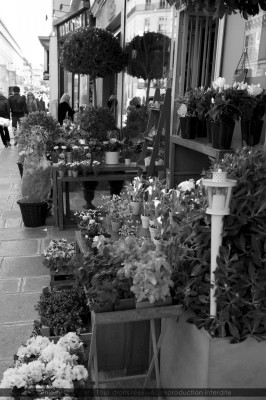 Troittoir fleuri