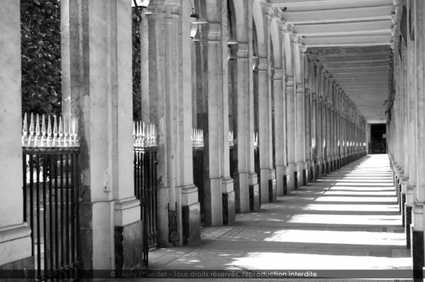 Entre ombre et lumière