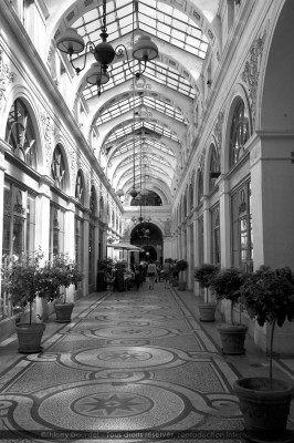 Galerie de l'Orangeraie