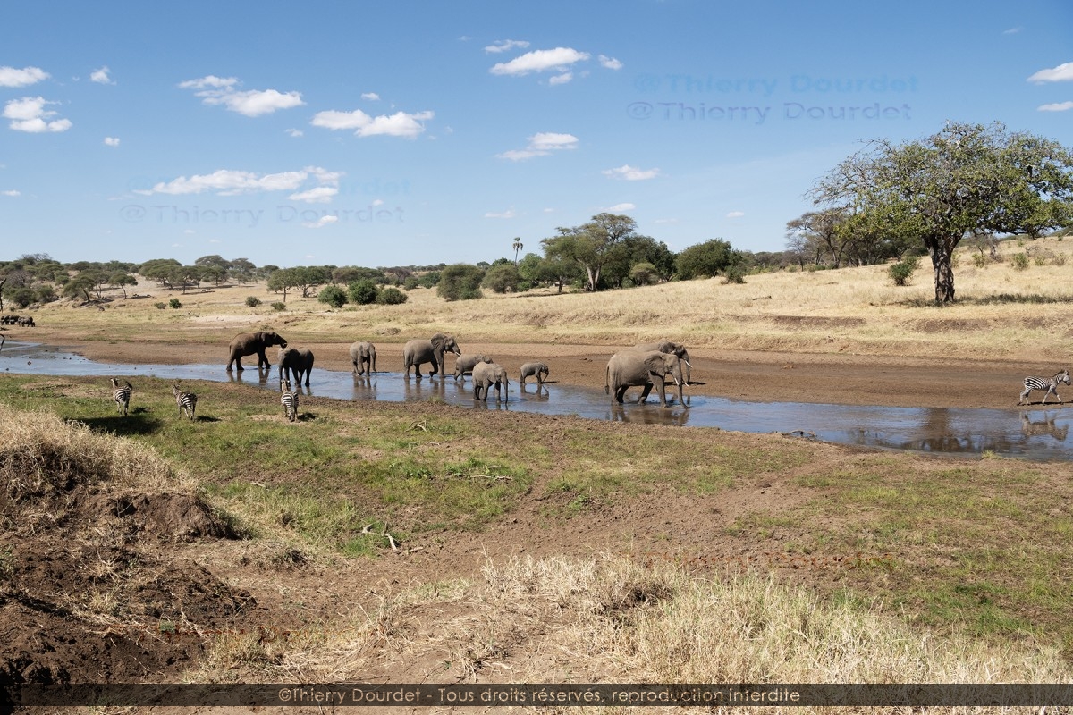 Serengeti Park